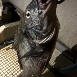 年無しまで後少し！