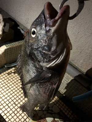 年無しまで後少し！