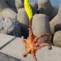 オクトパッシング