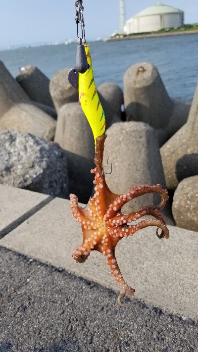 オクトパッシング