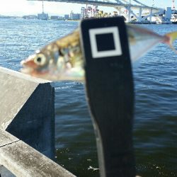 舞洲アジングNo2