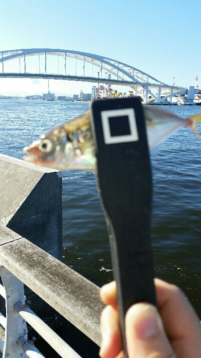 舞洲アジングNo2