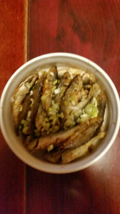 豆アジ大漁です(^.^)