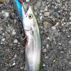 台風前のショアジギ