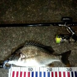 台風前に釣りはどうですか?