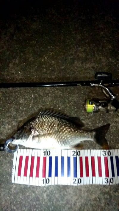 台風前に釣りはどうですか?