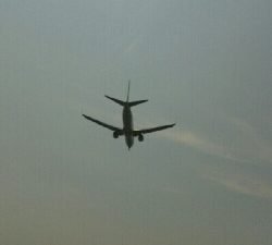 神戸空港周辺のマイクロジギング