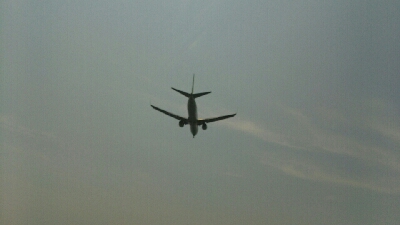神戸空港周辺のマイクロジギング