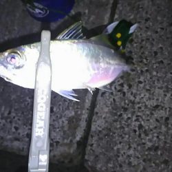 フロートアジング