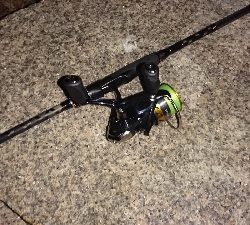 アジング、ガシリングのつもりで思わぬ外道