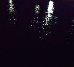 横浜のアジ何処行った？