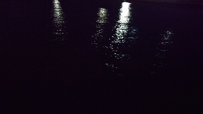 横浜のアジ何処行った？