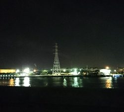 富津シーバス！