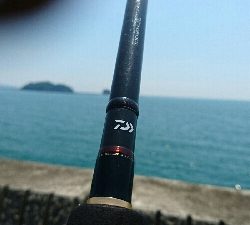 和歌山ランガン釣行