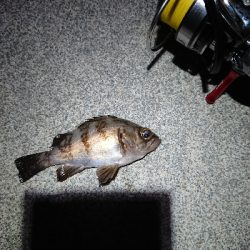 まだ、終わらない。