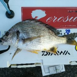 今日はこどもの日?