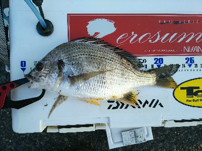 今日はこどもの日？