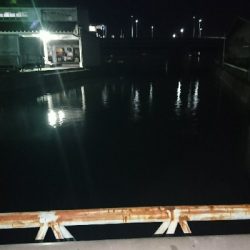 NEWタモ鱗付け♪