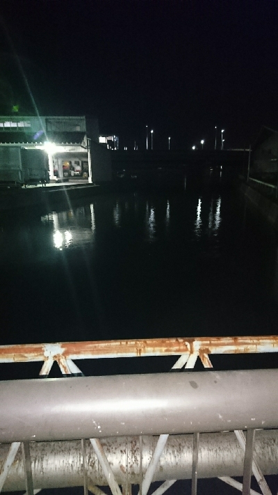 NEWタモ鱗付け♪