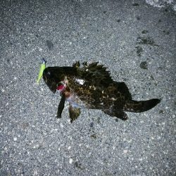 波は高いが潮どまり