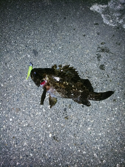 波は高いが潮どまり