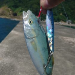 暑さにも負けず