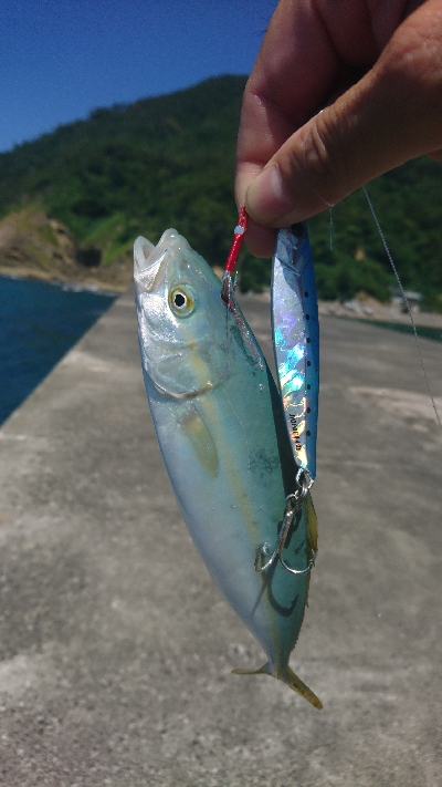 暑さにも負けず