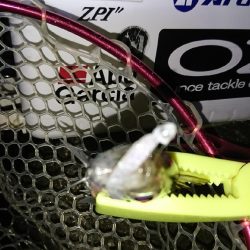 厳しかったぁー