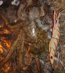 初めての投稿です( ̄▽ ̄)v