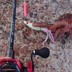 仕事帰りに一撃ち行ってきました！