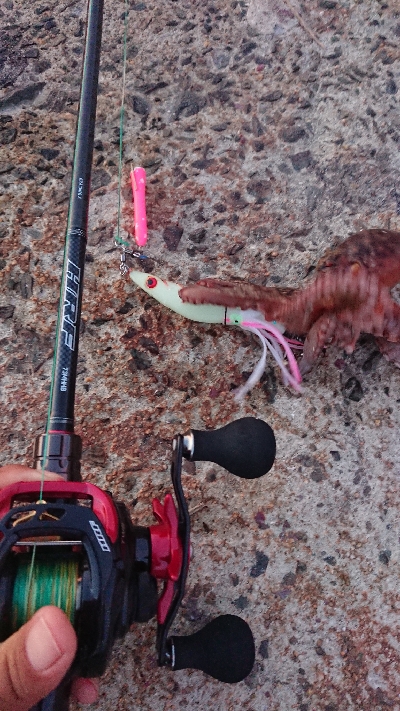 仕事帰りに一撃ち行ってきました！