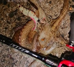 仕事終わりの一打ちでGET!