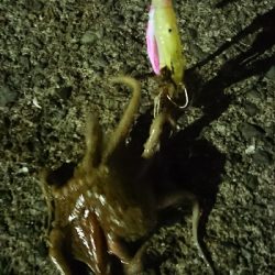 ロッドを新調しましたので墨付けです！