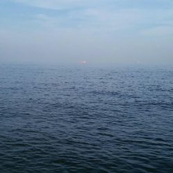 ここにも廻ってますね!