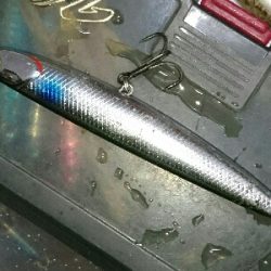 トップでライガー