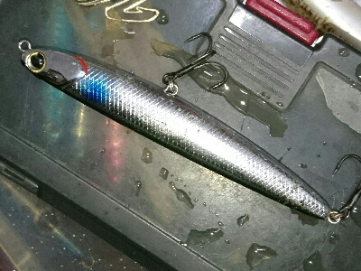 トップでライガー