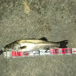 良い感じの海でした。