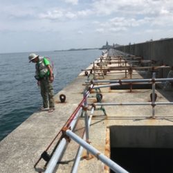 めちゃくちゃ釣れてますよ！