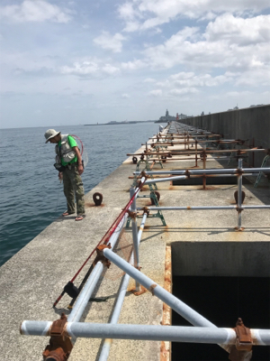 めちゃくちゃ釣れてますよ！