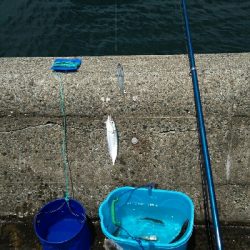 2018年7月1日釣行in姪浜漁港周辺