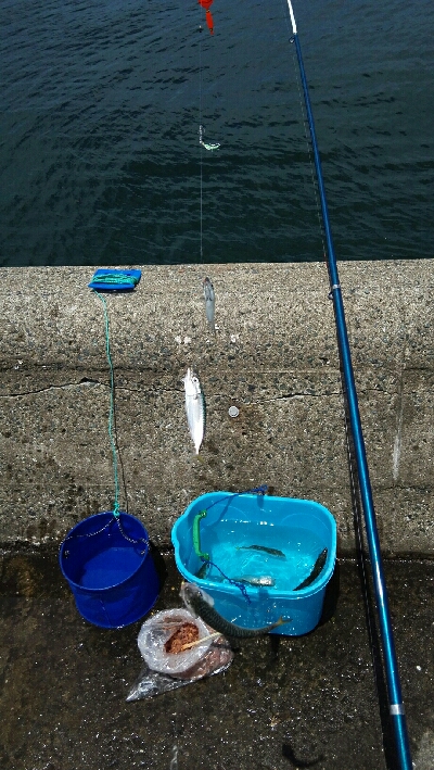 2018年7月1日釣行in姪浜漁港周辺