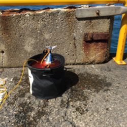 ハマチは何処かで、