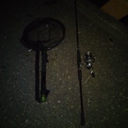 際釣り2mと限られたスペースでキビレ