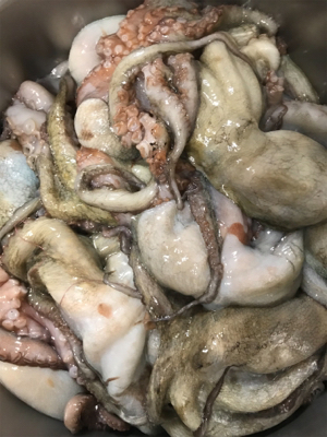 明石タコ釣り【がまかつ仕様】