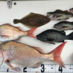 鯛ラバ  メバルサビキ