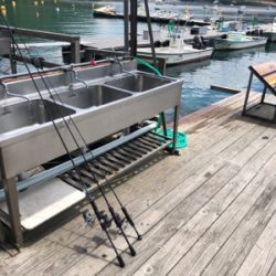 手漕ぎボート5目釣り