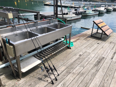 手漕ぎボート5目釣り