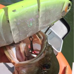 一庫ダム初！？バラムフィッシュ！