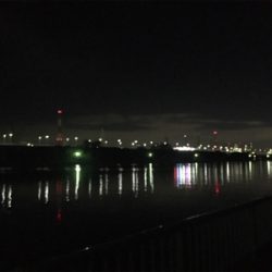 癒しのチニング