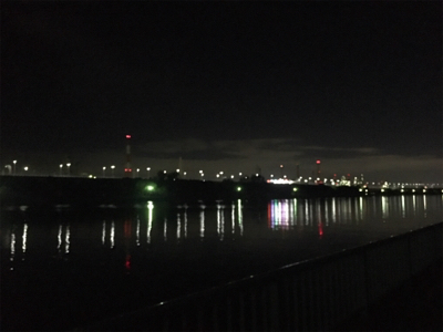 癒しのチニング